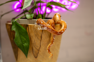 Pretzel Snek